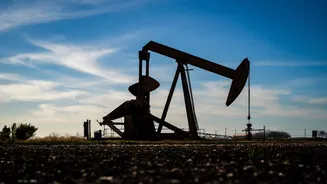 US to acquire 35% stake in Venezuelan oil firm