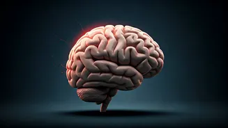 Related Stories banner