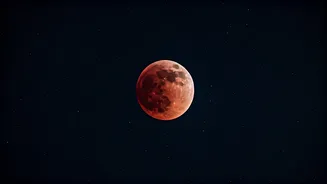 Related Stories banner