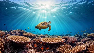 Scuba Diving Makes Andaman Trips More Than Pretty