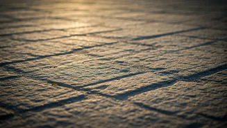 Duck Walk: Your Surprisingly Effective Workout!