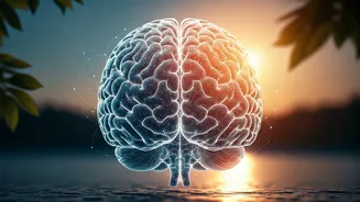 Understanding Mental Health: A Guide