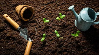 Related Stories banner