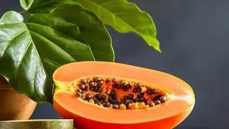 Papaya Can Support Diet Variety Without Becoming a Miracle Food