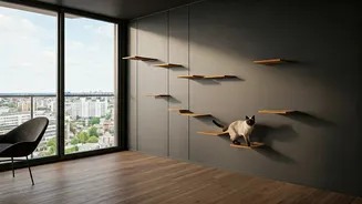 High-Rise Cats Are Living Large On These Climbing Bridges
