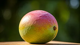 Malda: India's Ultimate Mango Paradise & Why May is Your Golden Ticket