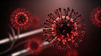 Deadly Andes Hantavirus Strain on Cruise Ship: Understanding the Risks and Transmission