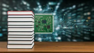 Sergey Brin's Perspective on Education and Hiring