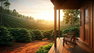 Chikmagalur Unplugged Homestays Help Remote Workers Beat Burnout