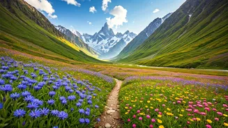 Is Uttarakhand Valley Of Flowers The Best Summer Trek India