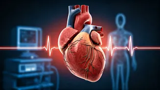 Related Stories banner