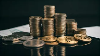 Smart Investment: Navigating India's Market Landscape