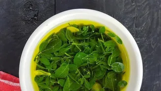 Make delicious zero waste cooking oils using leftover mint and coriander stems