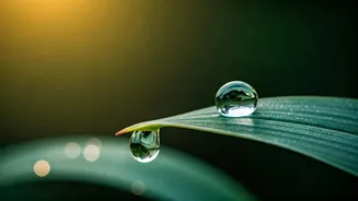 Revitalize Your Life: 7 Ancient Ayurvedic Habits for Energy, Sleep & Stress Relief