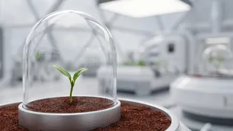 Why Mars Farming Experiments Matter For Future Human Exploration