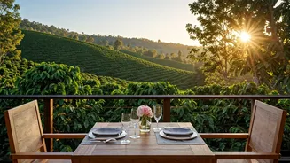 Luxury Coffee Estate Honeymoons Get Super Value For Money