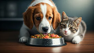Monsoon Diet Planning Is The New Pet-Care Task
