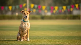 Jaipur's Mega Pet Carnival Makes a Case for Checking Adoption Services