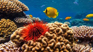 Unveiling the Unusual: 7 Animals with Names Starting with 'U'!