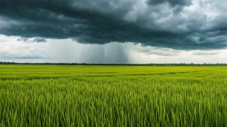 The Farming Season Powered By The Monsoon