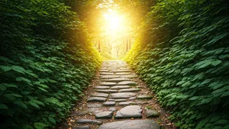 Related Stories banner