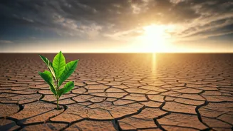 Bhagavad Gita: Embracing Challenges as Catalysts for Profound Personal Growth