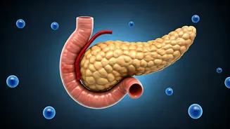 Insulin Resistance: Why Feeling Sleepy After Meals Could Signal This