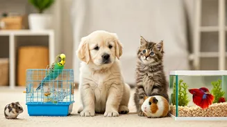 Top 6 Pets for Kids: Cultivating Love, Responsibility, and Essential Life Skills