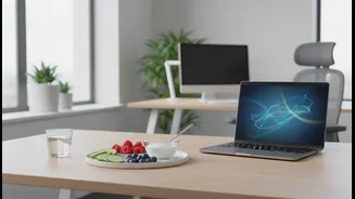 How Small Light Meals Spaced Throughout Humid Days Enhance Long-Term Workplace Focusing