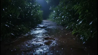 Farmhouse Visitors Should Avoid Walking Barefoot During Monsoon Nights