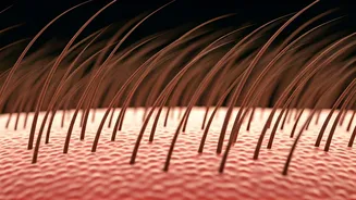 Why Is My Hair Falling Out And What Can I Do?