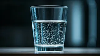 New Guidelines On Avoiding Microplastics In Your Daily Food