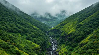 Western Ghats Have Entered Monsoon Moodboards