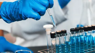 Russia Plague Mystery: Lab Worker Dies In Siberia Region, Nearly 200 Placed Under Observation