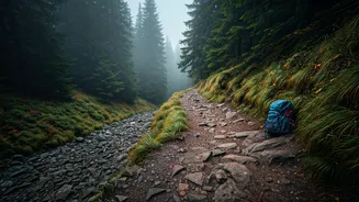 Smoky Mountain Rescues Surge: Why Hikers Face Unforeseen Dangers