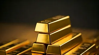 India's Business & Market Insights: Recent Highlights