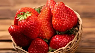 India's Indigenous Strawberry Project: The Key Facts and Current Status