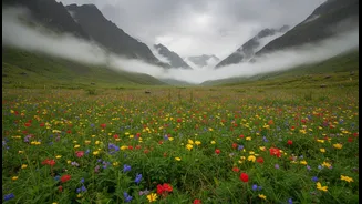 The ultimate logistics checklist for exploring Valley of Flowers during peak monsoon bloom weeks