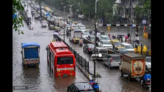 Mumbai sees light rains; IMD forecasts showers, thunderstorms and gusty winds across several states