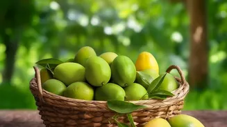 Karnataka's Export Window Expands Through Neelam and Totapuri