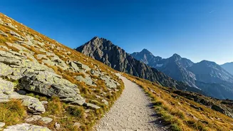 Related Stories banner