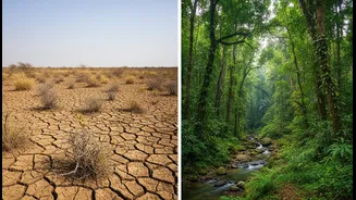 The New Projections Make Regional Ecosystem Management More Important Than National Averages