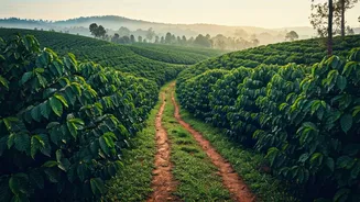 Bengaluru Weekend Escapes Shift Focus Heavily To Quiet Coorg