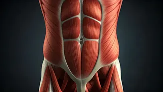Why Modern Indian Workouts Emphasize Deep Functional Core Strength