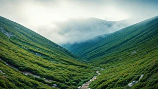 Young India Picks Misty Hills Over Beaches