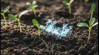 Crop, Pest And Soil Problems Need Builders
