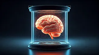 Unlocking Cognitive Power: 5 Exercises to Sharpen Your Mind