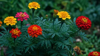 These Flowers Actually Love Wet Weather