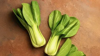 Check Regional Produce Before Planning Seasonal Vegetable Meals
