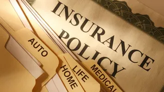 Here's why big insurance stocks in the US fell up to 13% in extended trade on Monday